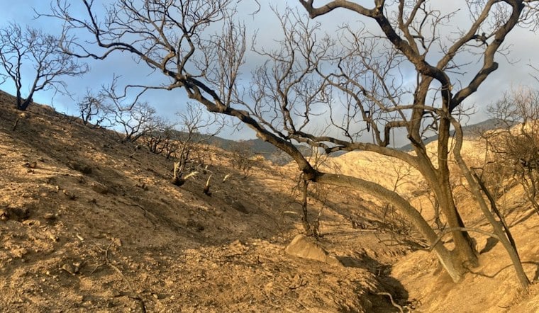 Newsom Signs Law Shielding Altadena From Dense Rebuild Projects