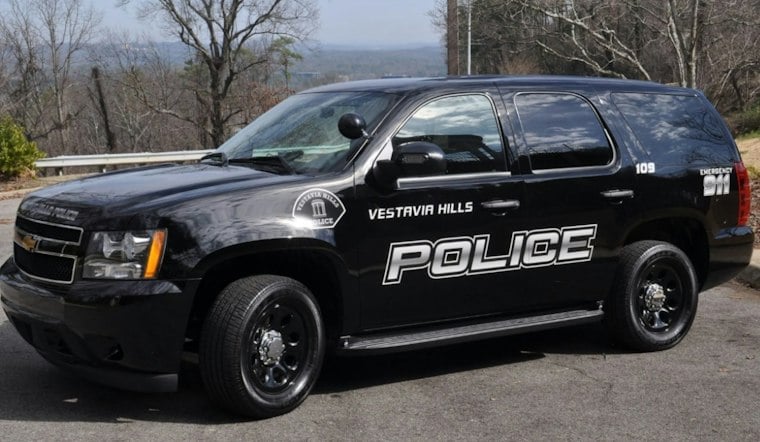 Nine Men Charged After Vestavia Hills Child Exploitation Sting Traps Suspects