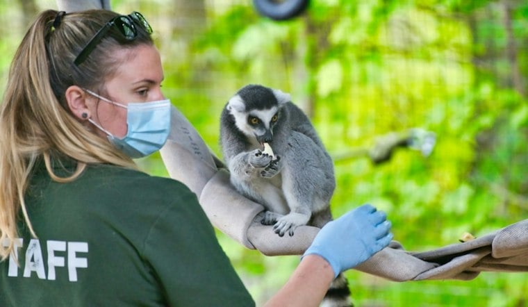 Noble Wildlife Center Hits 10,000 Patients, Now Faces a Cash Crunch