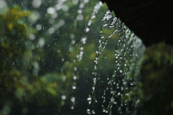 Norfolk Braces as Sunday Soaker Brings Gusty Winds and Tornado Threat