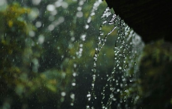 Norfolk Braces as Sunday Soaker Brings Gusty Winds and Tornado Threat