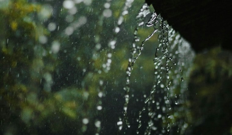 Norfolk Braces as Sunday Soaker Brings Gusty Winds and Tornado Threat