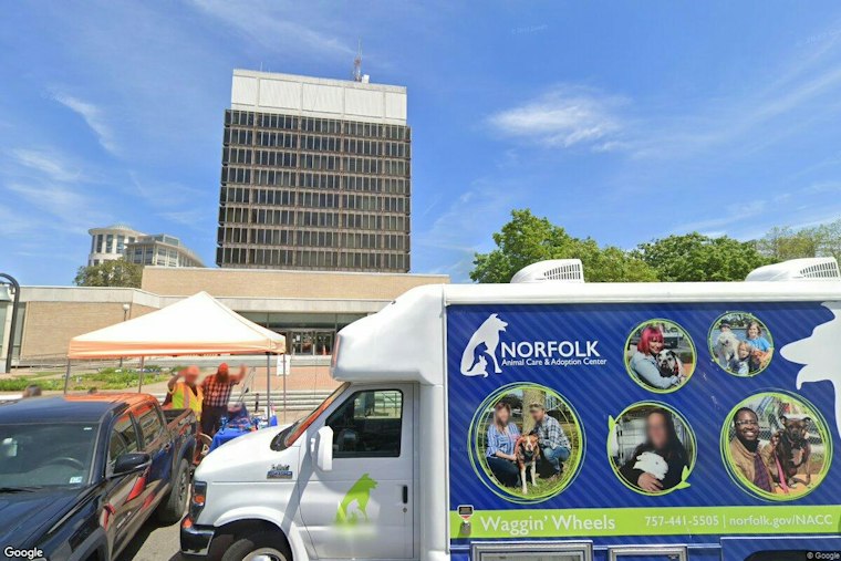 Norfolk Defends Flock Cameras as Dozens Rally at City Hall Over Privacy Fears