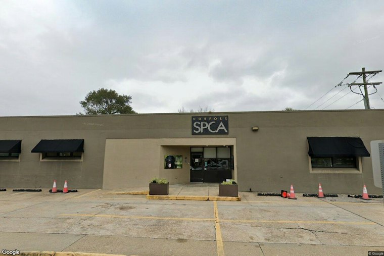 Norfolk SPCA Shuts Down After Trespasser Sparks Gun Scare, Staff Left Shaken