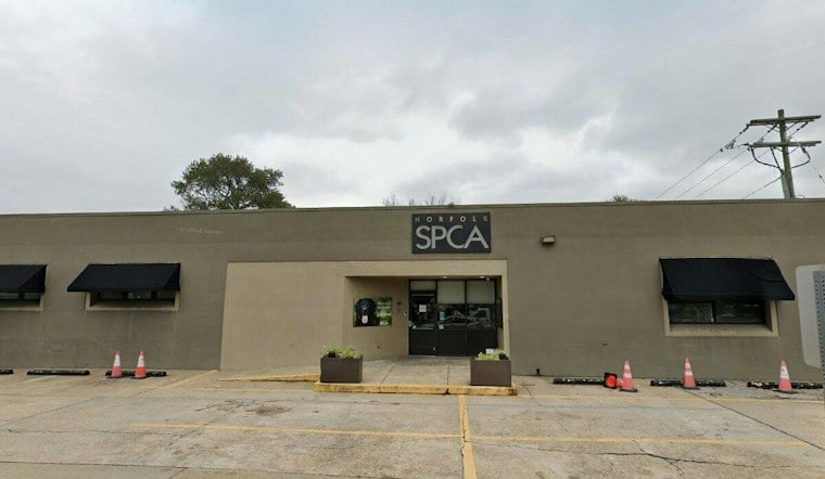 Norfolk SPCA Shuts Down After Trespasser Sparks Gun Scare, Staff Left Shaken