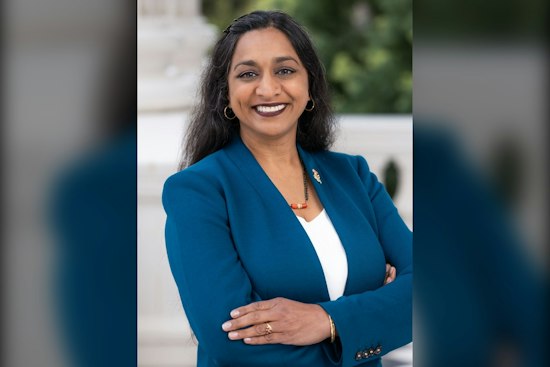 North County's 76th Assembly Race Pits Patel Against Villanueva