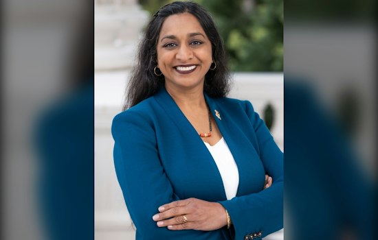 North County's 76th Assembly Race Pits Patel Against Villanueva
