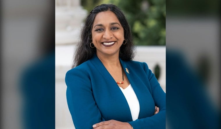 North County's 76th Assembly Race Pits Patel Against Villanueva