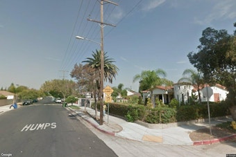 North Hollywood Burglars Stomp Family Dog Leia to Death, Four Arrested