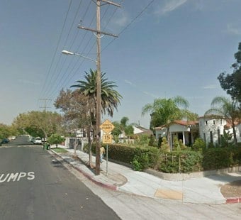 North Hollywood Burglars Stomp Family Dog Leia to Death, Four Arrested
