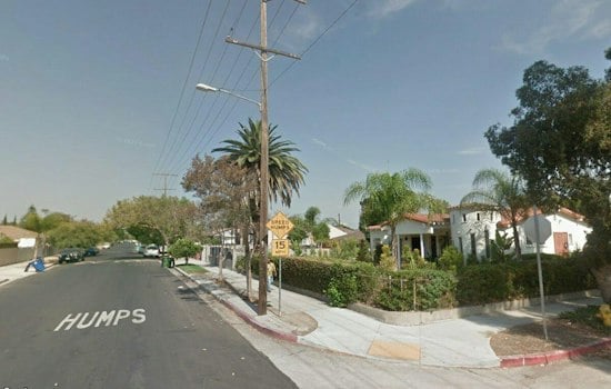 North Hollywood Burglars Stomp Family Dog Leia to Death, Four Arrested