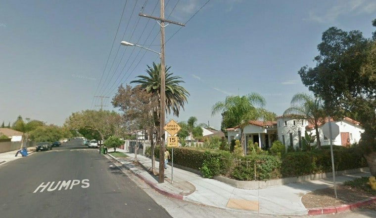 North Hollywood Burglars Stomp Family Dog Leia to Death, Four Arrested