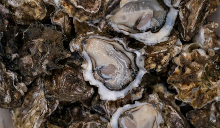 Northumberland County Oysters Pulled From Water After Pennsylvania Salmonella Scare