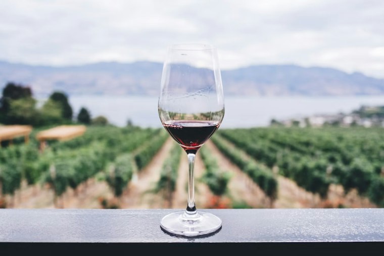 Norton's Winery at Wolf Creek Hits Market for $4.3M After 2017 Distillery Fire