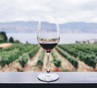 Norton's Winery at Wolf Creek Hits Market for $4.3M After 2017 Distillery Fire