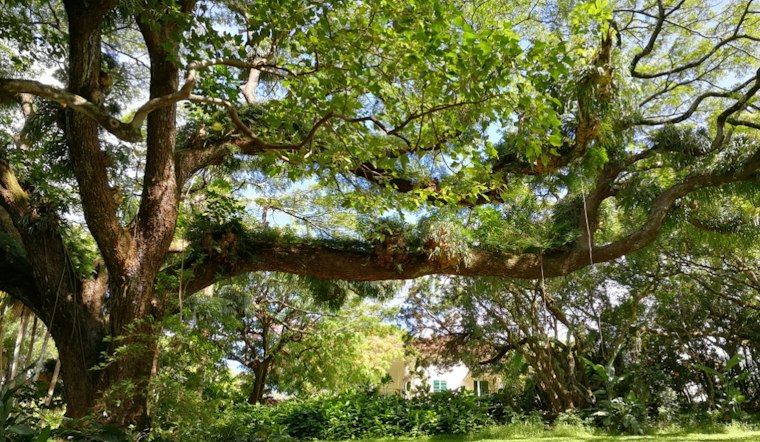 Nuʻuanu Valley Palace Marks 50 Years of Hawaiian Culture Day With Hula, Mākeke