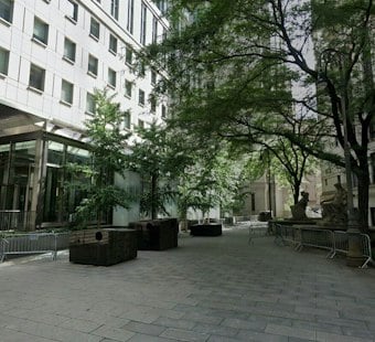 NYU Professor's $6.6M Fortune Goes to DSA Over Family's Objections