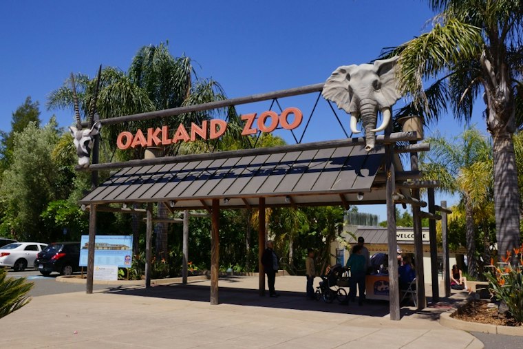 Oakland Zoo's Glowfari Returns Nov. 6 With New Hawaii and Everglades Lantern Trails