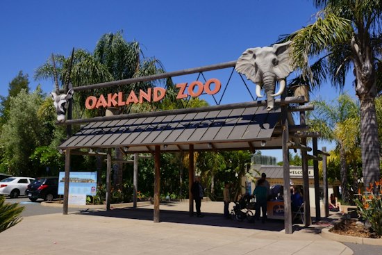 Oakland Zoo's Glowfari Returns Nov. 6 With New Hawaii and Everglades Lantern Trails