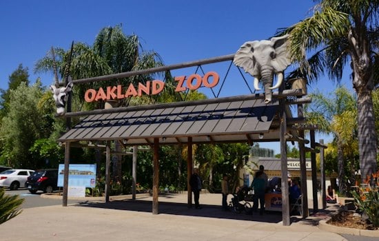 Oakland Zoo's Glowfari Returns Nov. 6 With New Hawaii and Everglades Lantern Trails