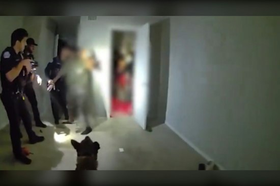 Ocoee K9 Sniffs Out 7 Teens Hiding in Closet During Burglary Bust