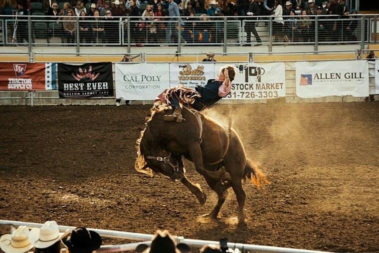 Ohio Bull Rider, 35, Dies After Chest Injury at Warren County Rodeo