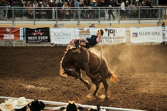 Ohio Bull Rider, 35, Dies After Chest Injury at Warren County Rodeo