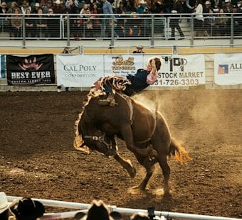 Ohio Bull Rider, 35, Dies After Chest Injury at Warren County Rodeo