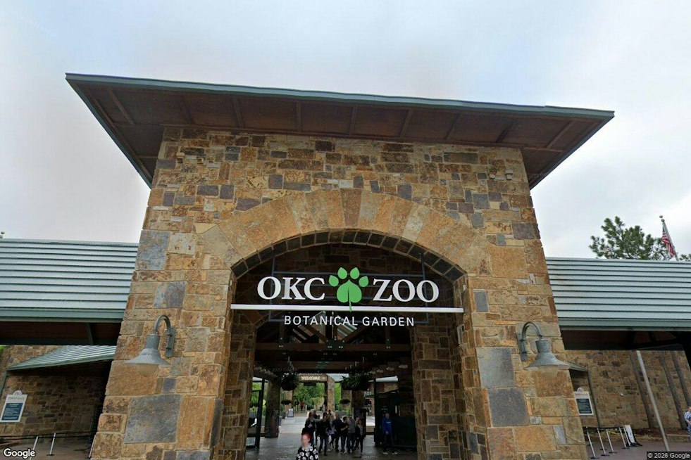 OKC Zoo Turns 35 OU Student Artworks Into a Native Plant Showcase