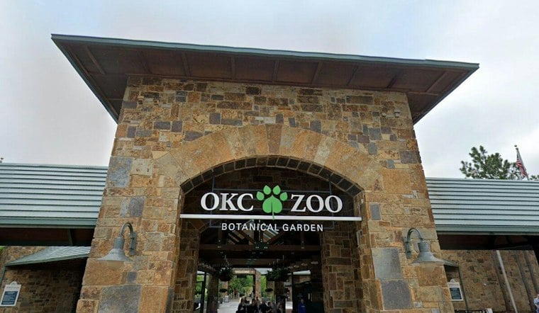 OKC Zoo Turns 35 OU Student Artworks Into a Native Plant Showcase