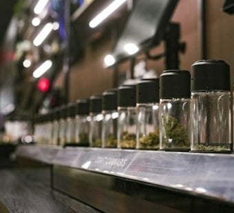 Oklahoma Pot Recall Widens as Tainted Batch Was Mixed Into Passed Product