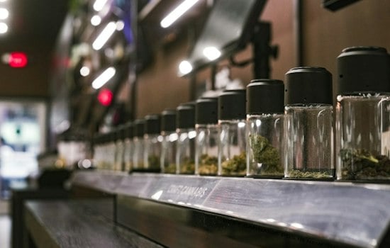Oklahoma Pot Recall Widens as Tainted Batch Was Mixed Into Passed Product