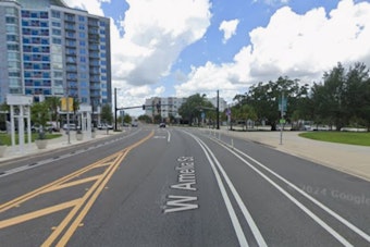 Orlando Man, 46, Charged With Armed Sexual Battery on West Amelia Street