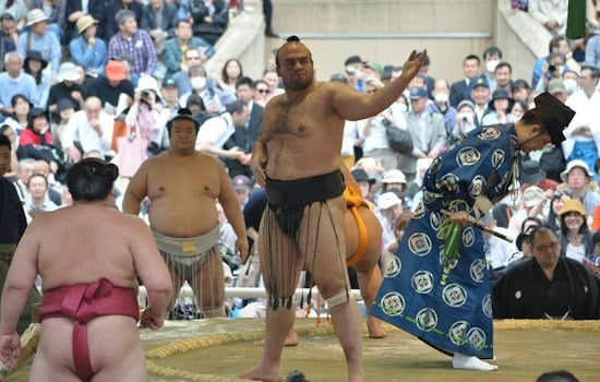 Orlando Sumo Tournament Pits 400-Pound Power Slap Competitor Against Hometown MMA Fighter