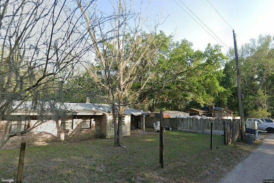Osteen Woman Jailed After Dogs Found Caged in Feces, Cats in Toxic Fumes