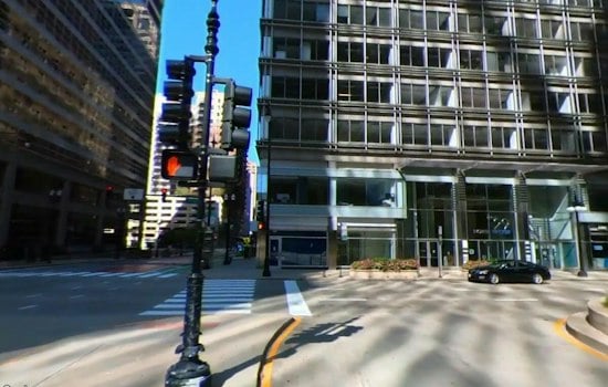 Over 1,000 Birds Die in Chicago, Evanston Window Strikes in One Weekend
