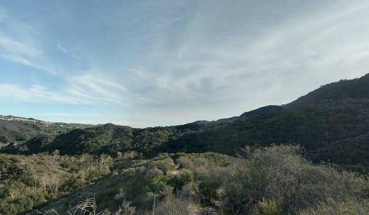 Pacific Palisades Volunteers Race to Rip Out Fire-Fed Weeds Before El Niño Rains