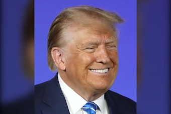 Palm Beach Elections Office Scrubs Trump Voter Data Over Law That Skips the Presidency
