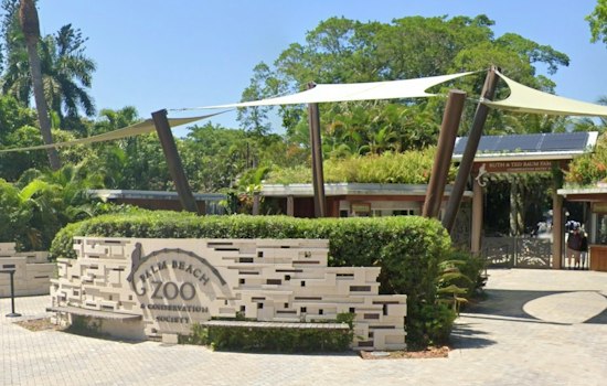 Palm Beach Zoo Lights Up With Glowworms and a Bioluminescent Finale This Winter