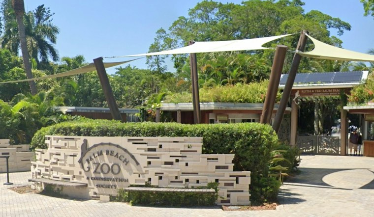 Palm Beach Zoo Lights Up With Glowworms and a Bioluminescent Finale This Winter
