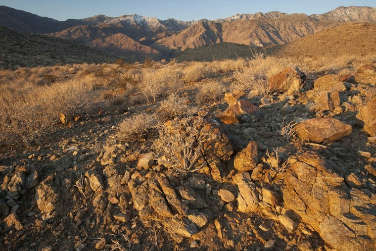 Palm Desert Finishes $2M Cahuilla Hills Park Overhaul With Trail, Court Upgrades