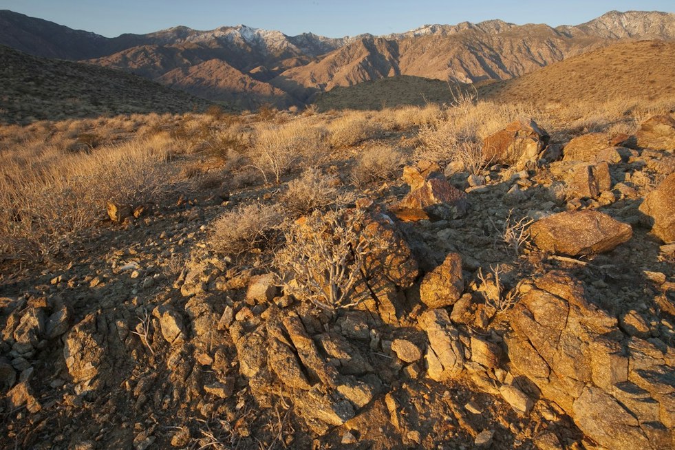Palm Desert Finishes $2M Cahuilla Hills Park Overhaul With Trail, Court Upgrades