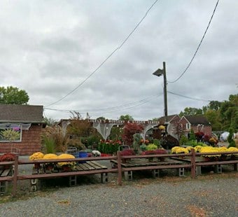 Paramus Nursery's 6-Acre Lot Sells for $14.5M, Affordable Housing Next