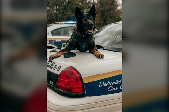 Penryn Standoff Ends With K9 Sonic Shot, Barricaded Woman Wounded by Deputies