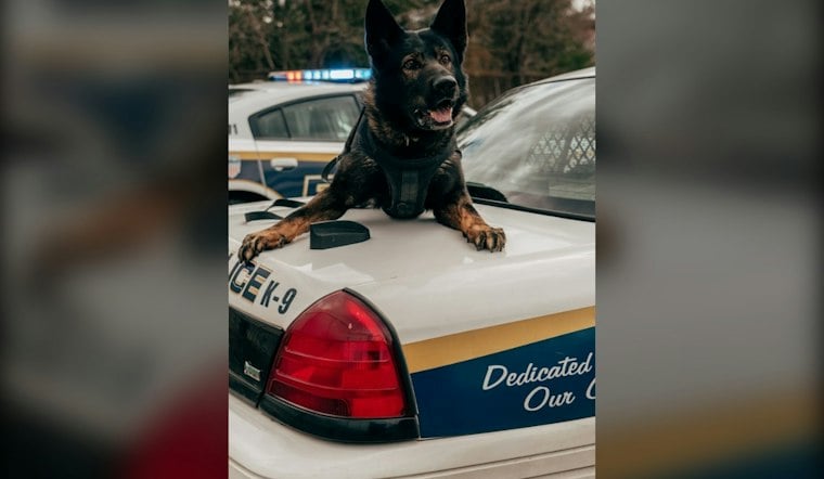 Penryn Standoff Ends With K9 Sonic Shot, Barricaded Woman Wounded by Deputies