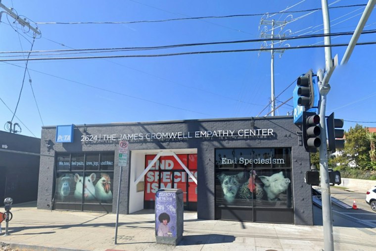 PETA Dares LA to Eat Five Scorching Vegan Wings Over Two October Weekends
