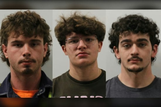 Pineapple Smashes Tesla Windshield in West Chester, Four Charged in Overnight Spree