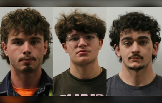 Pineapple Smashes Tesla Windshield in West Chester, Four Charged in Overnight Spree