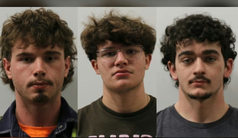 Pineapple Smashes Tesla Windshield in West Chester, Four Charged in Overnight Spree