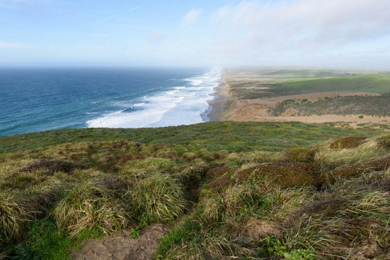 Point Reyes Searchers Scour South Beach for Man Swept Off Rocks